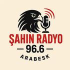ikon Şahin Radyo