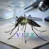 VIZZ: Sivrisinek & Kene Harita APK