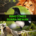 Nada Dering Suara Hewan Offlin