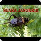 Suara Jangkrik Offline 圖標