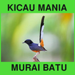 Suara Kicau Murai Batu Offline-icoon