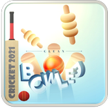 Clean Bowled