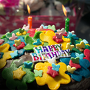 Birthday Photo Frames APK