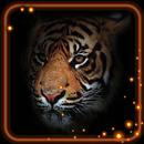Tigers Eyes Live Wallpaper-APK