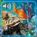 Aquarium Live Wallpaper-APK