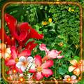 Jungles Flowers n Butterflies