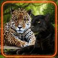 Jungles Wild Cats