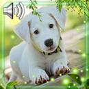 Puppy Sounds Live Wallpaper-APK