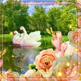 Swan and Rose icône