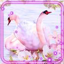 Swans Live Wallpaper-APK