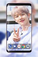 Baekhyun EXO Wallpaper KPOP For Fans HD capture d'écran 2