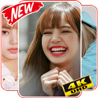 Lisa Blackpink Wallpapers KPOP For Fans HD icon