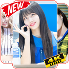 Momo Twice Wallpaper KPOP Fans HD 아이콘