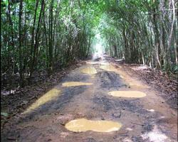 Guiana quebra-cabeças imagem de tela 3