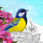 Birds Coloring Art Book أيقونة