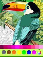 Poster Libro da colorare di uccelli