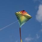 Kite Flying 图标