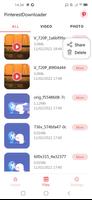 Video Downloader for Pinterest capture d'écran 3