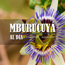 Mburucuyá al Día APK