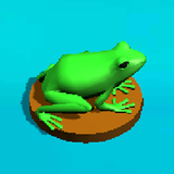 Frog Jump