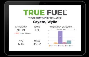 True Fuel screenshot 3