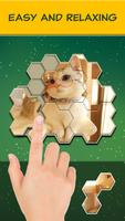 Jigsaw Hexa Block پوسٹر