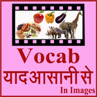 Vocab याद ( Learn ) आसानी से icône