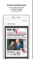Diario Sur スクリーンショット 3
