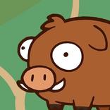 Pick N Collect: Sanctuary