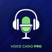 Voice Casio Pro
