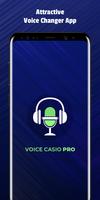 Voice Casio Pro poster