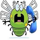 Voice for Pest APK