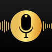 Voice Recorder