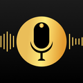 Voice Recorder
