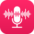 Voice Recorder: Voice Notes APK