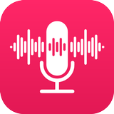 Voice Recorder: Voice Notes Zeichen