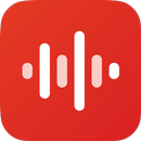 Voice Recorder APK