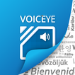 VOICEYE 图标