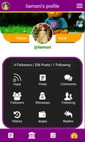 Voilk App 海报