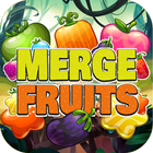 Merge Fruits Puzzle ícone