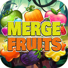 Merge Fruits Puzzle 圖標