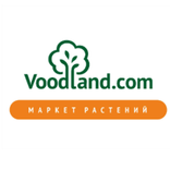 Voodland