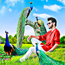 Peacock photo editor frames APK