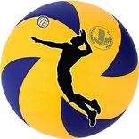 Volei News