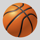 Dunk The Hoops - Best Free Basketball Arcade Game APK