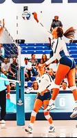 Volleyball 3D Beach Challenge poster