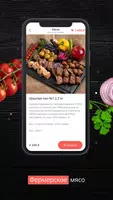 mr.Mangal screenshot 2