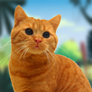 Kitten Cat Game: Cat Animal 3D APK