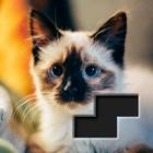 Block Square Jigsaw آئیکن