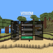 voxiom